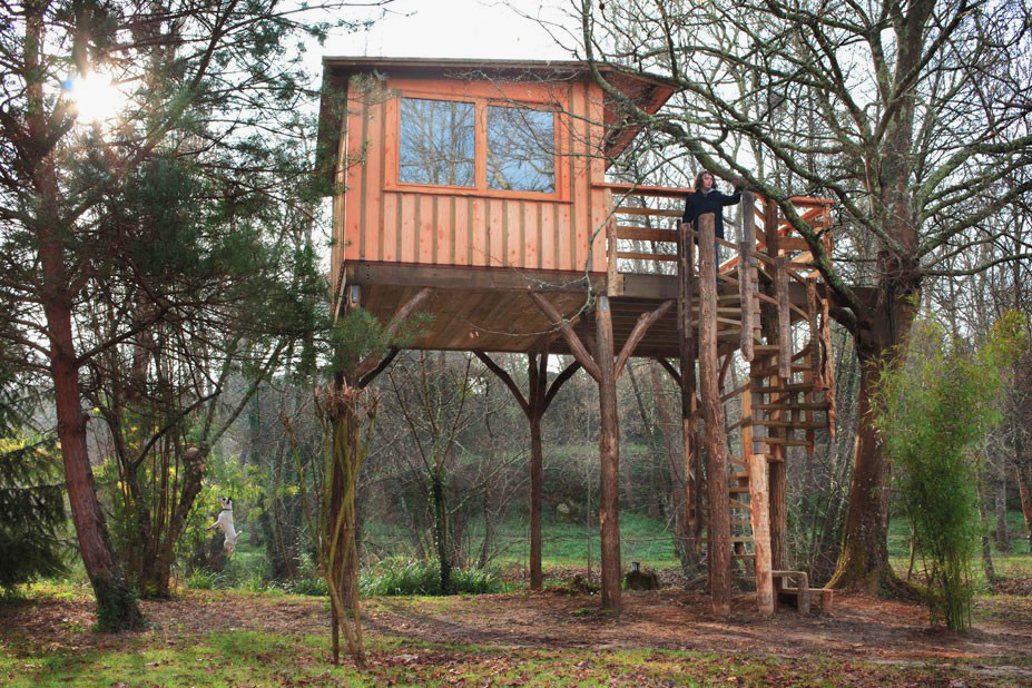 extension  bois cabane dans les arbres